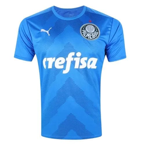 Camisa Palmeiras Goleiro 22/23 - Puma Torcedor Masculina - Azul