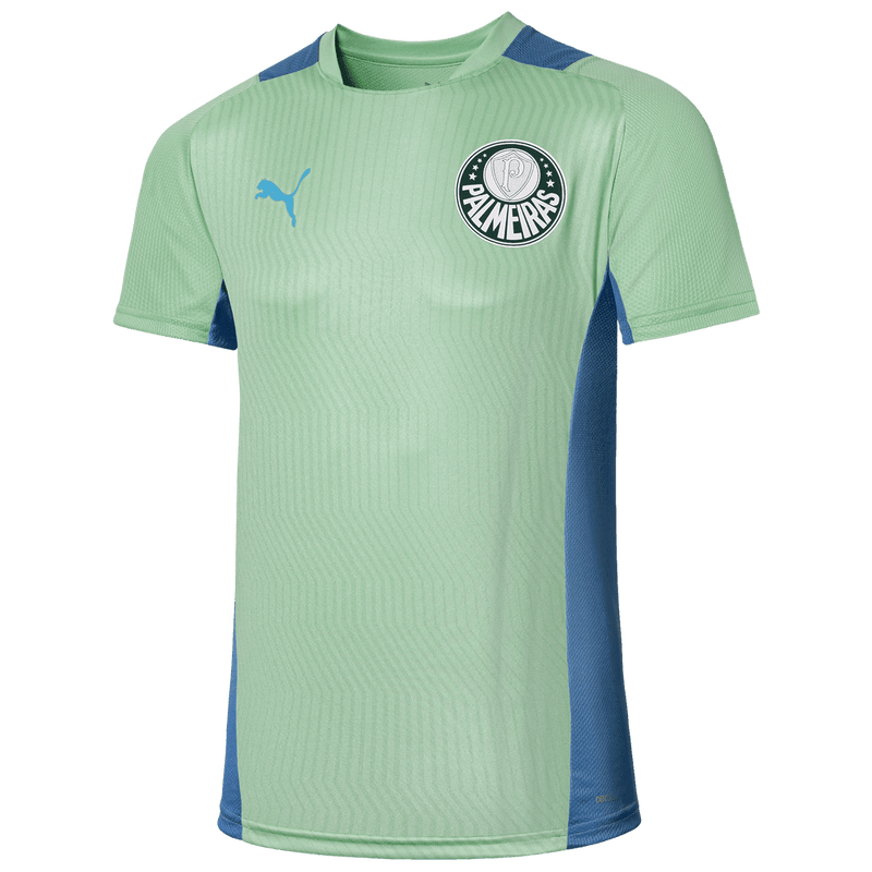 Camisa Palmeiras Treino 22/23 - Puma Torcedor Masculina - Verde